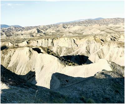 Runoff and soil loss in biocrusts and physical crusts from the Tabernas Desert (southeast Spain) according to rainfall intensity